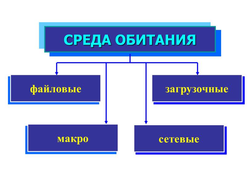 СРЕДА ОБИТАНИЯ файловые сетевые макро