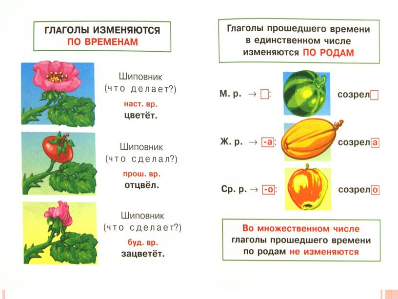 Части речи в русском языке. Начальные классы.