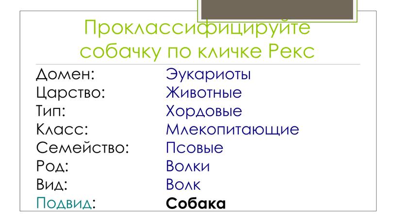 Проклассифицируйте собачку по кличке