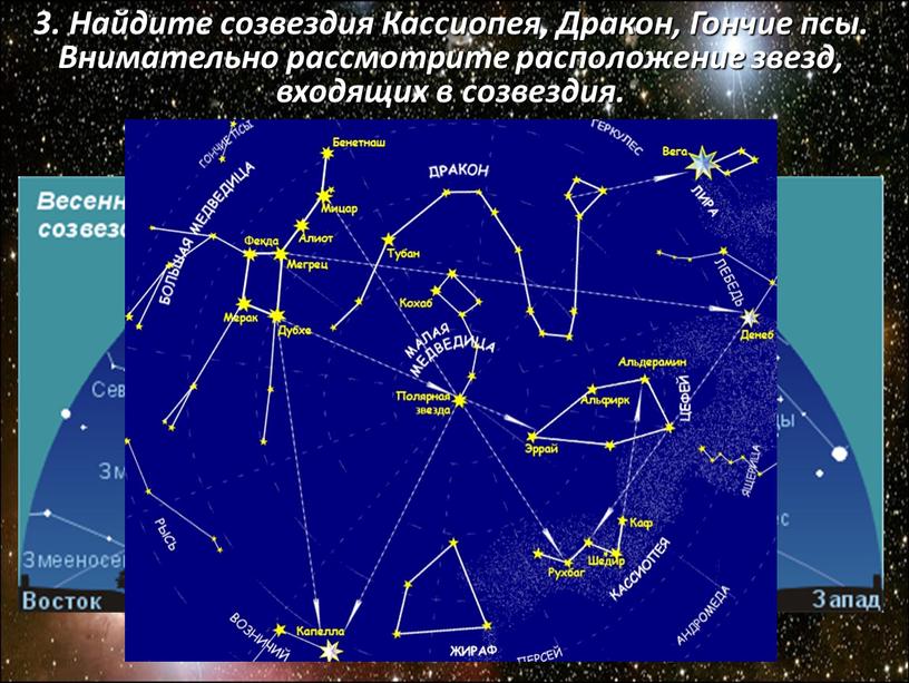 Найдите созвездия Кассиопея, Дракон,