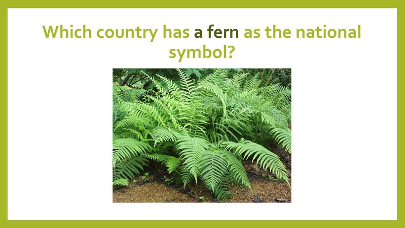 Which country has a fern as the national symbol?