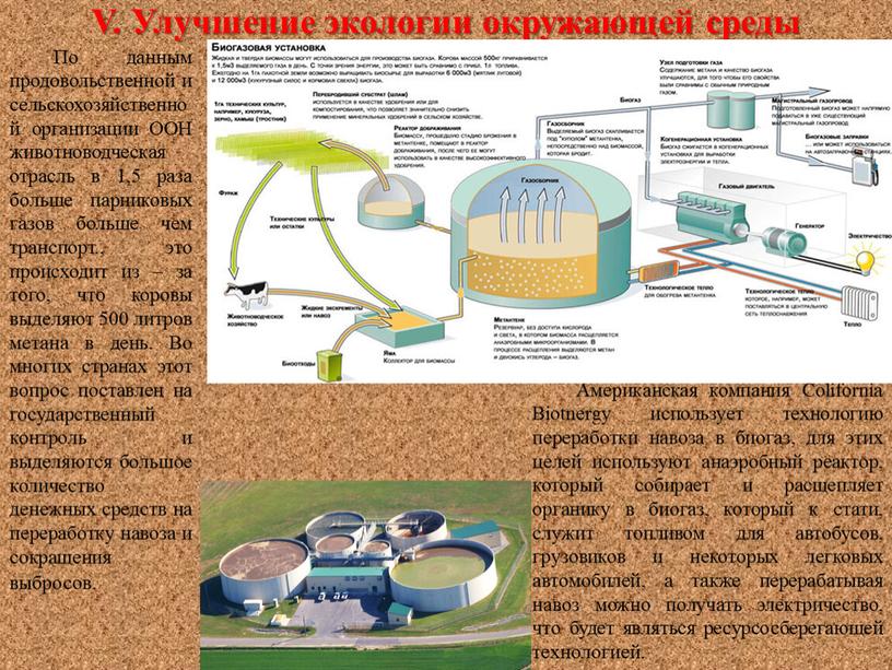 V. Улучшение экологии окружающей среды