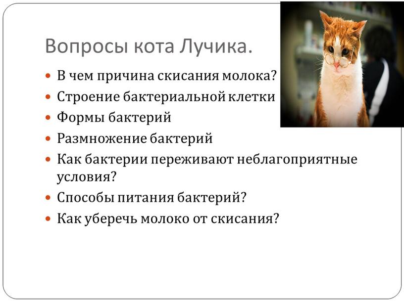 Вопросы кота Лучика. В чем причина скисания молока?