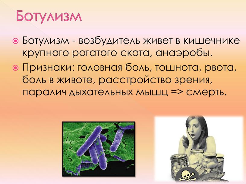 Ботулизм Ботулизм - возбудитель живет в кишечнике крупного рогатого скота, анаэробы