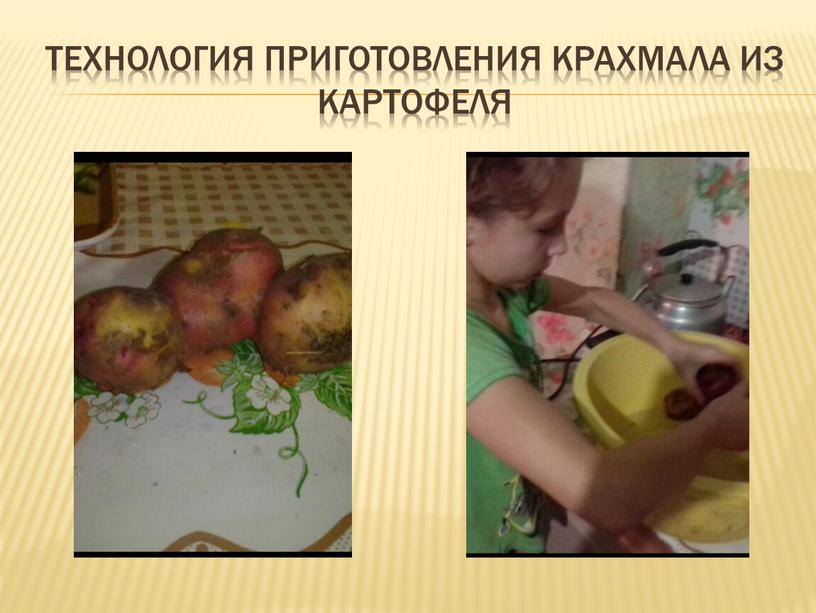 Технология приготовления крахмала из картофеля