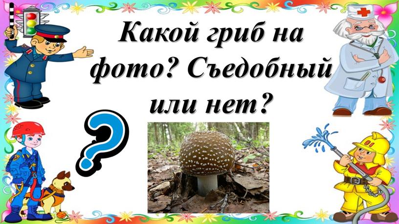 Какой гриб на фото? Съедобный или нет?