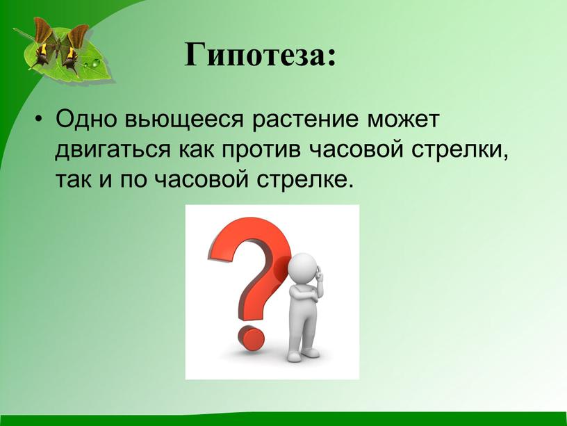 Гипотеза: Одно вьющееся растение может двигаться как против часовой стрелки, так и по часовой стрелке