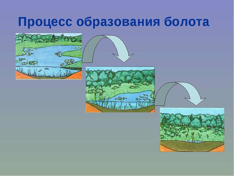 Конспект урока по географии 6 класс на тему: Озёра