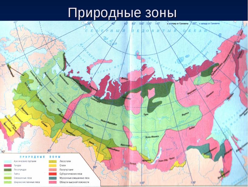 Презентация к уроку окружающего мира на тему: "Природные зоны России"