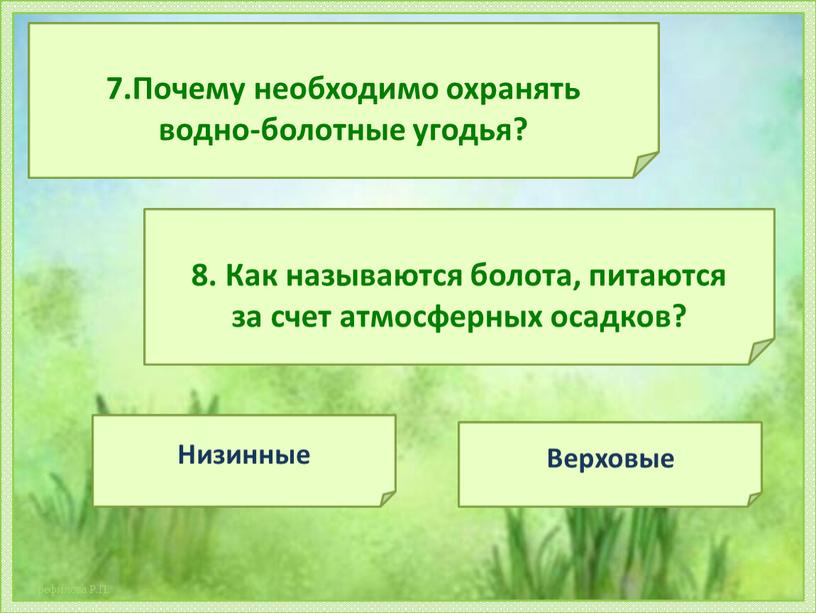 Почему необходимо охранять водно-болотные угодья? 8