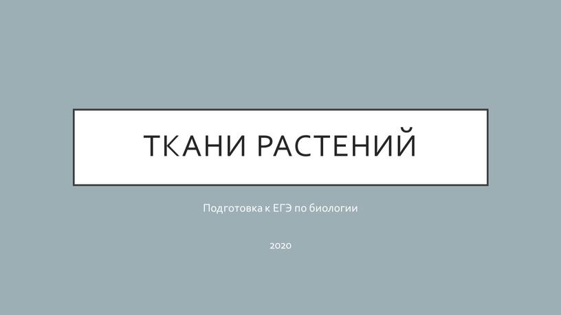 Ткани растений Подготовка к ЕГЭ по биологии 2020