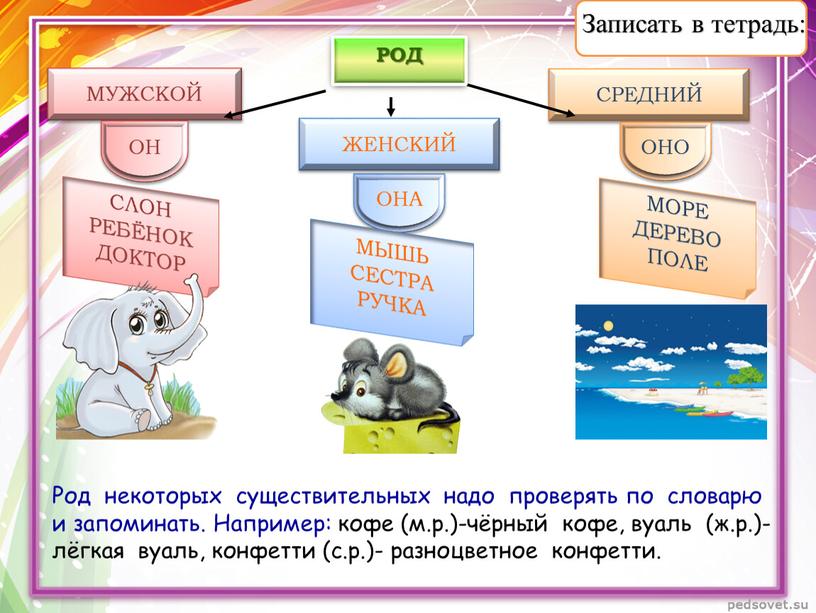 МУЖСКОЙ ЖЕНСКИЙ СРЕДНИЙ ОН ОНА