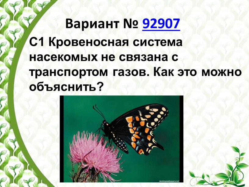 Вариант № 92907 С1 Кровеносная система насекомых не связана с транспортом газов