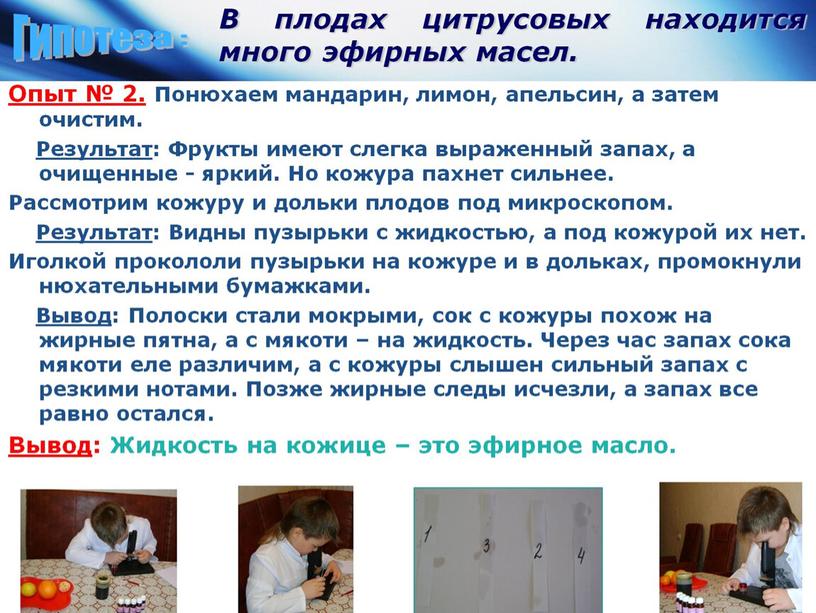 В плодах цитрусовых находится много эфирных масел