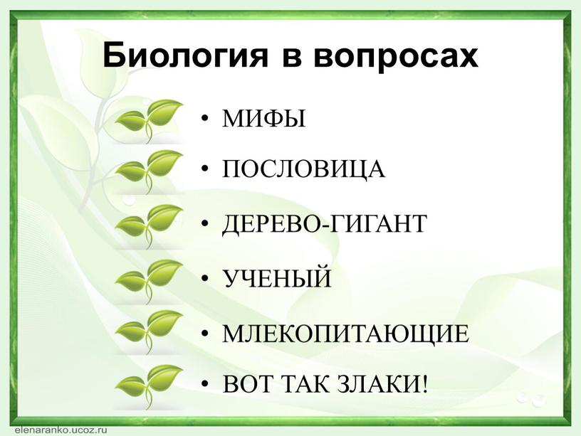 Какая нить в природе самая тонкая. Смотреть фото Какая нить в природе самая тонкая. Смотреть картинку Какая нить в природе самая тонкая. Картинка про Какая нить в природе самая тонкая. Фото Какая нить в природе самая тонкая