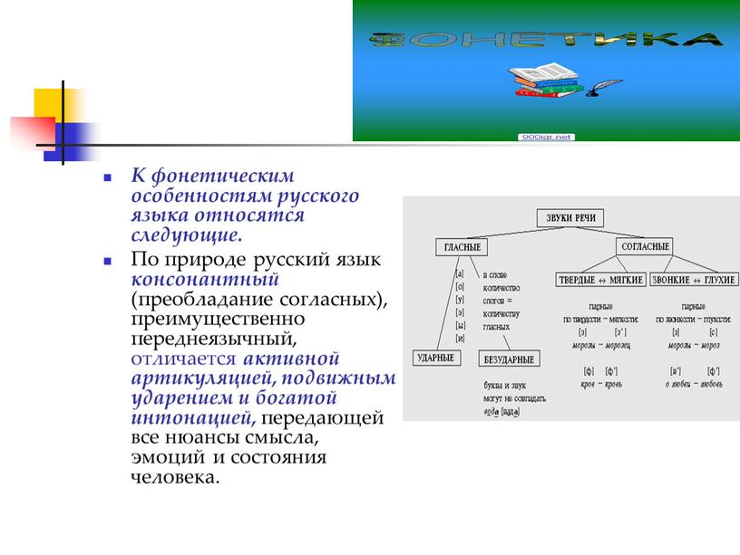 К фонетическим особенностям русского языка относятся следующие