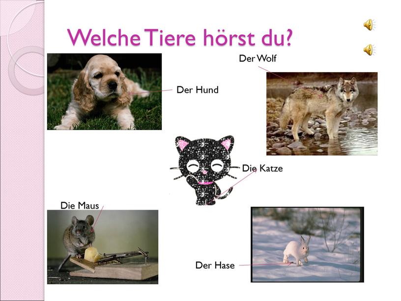 Welche Tiere hörst du? Der Hund