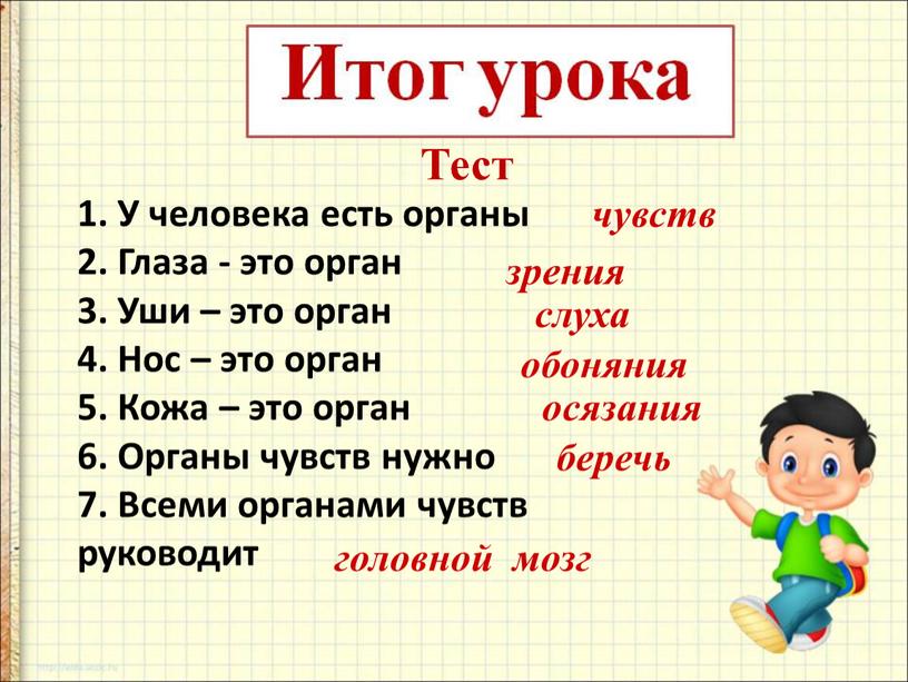 Тест 1. У человека есть органы 2