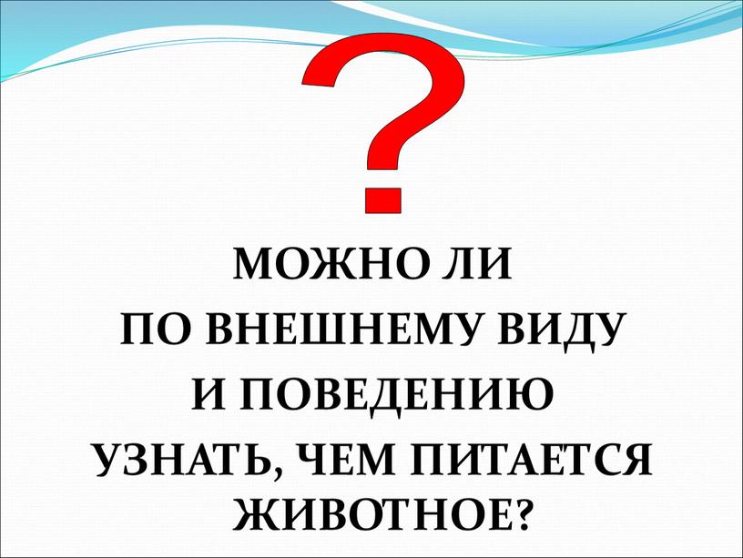 МОЖНО ЛИ ПО ВНЕШНЕМУ ВИДУ И ПОВЕДЕНИЮ