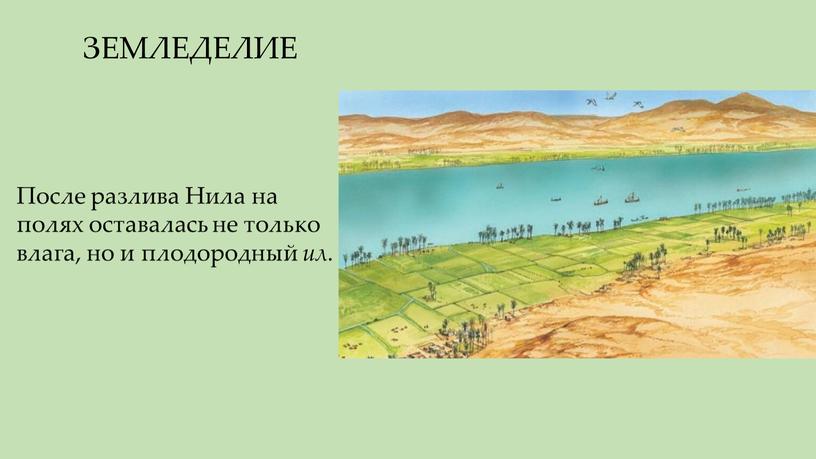 ЗЕМЛЕДЕЛИЕ После разлива Нила на полях оставалась не только влага, но и плодородный ил