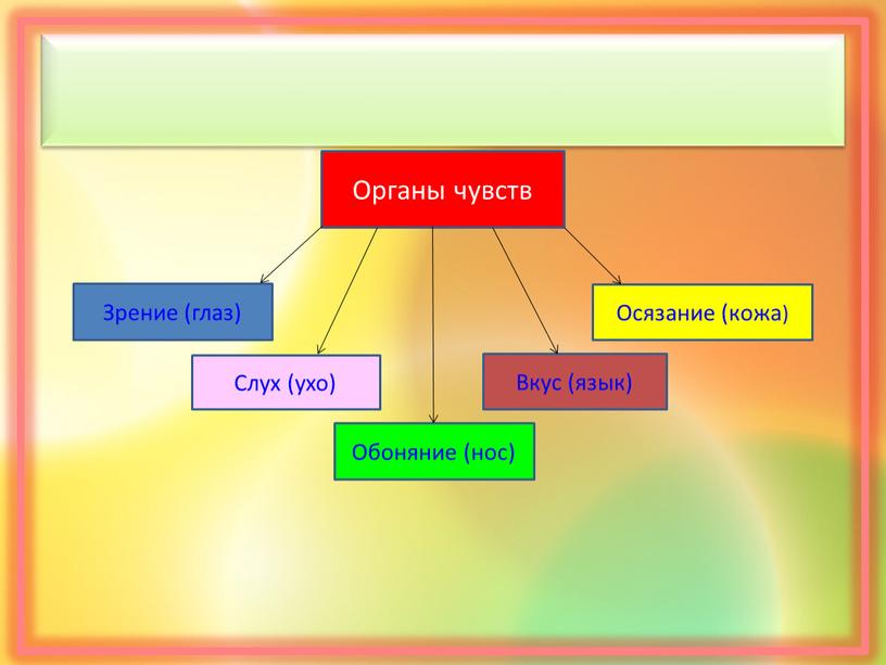 Вкус (язык) Осязание (кожа) Обоняние (нос)