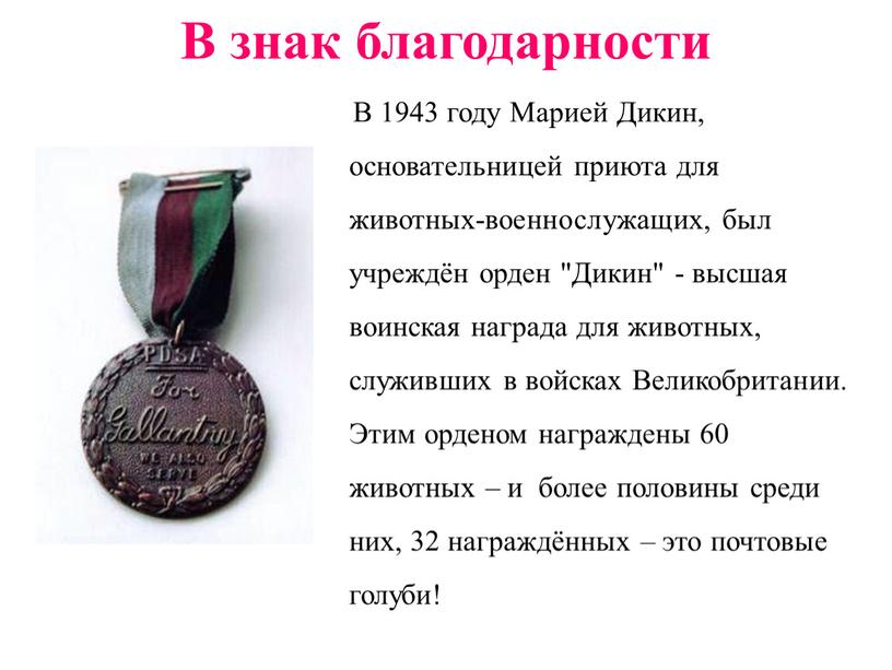 В 1943 году Марией Дикин, основательницей приюта для животных-военнослужащих, был учреждён орден "Дикин" - высшая воинская награда для животных, служивших в войсках