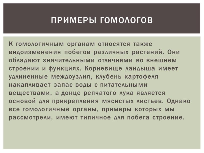 К гомологичным органам относятся также видоизменения побегов различных растений