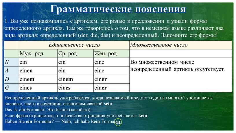 Грамматические пояснения 1. Вы уже познакомились с артиклем, его ролью в предложении и узнали формы определенного артикля