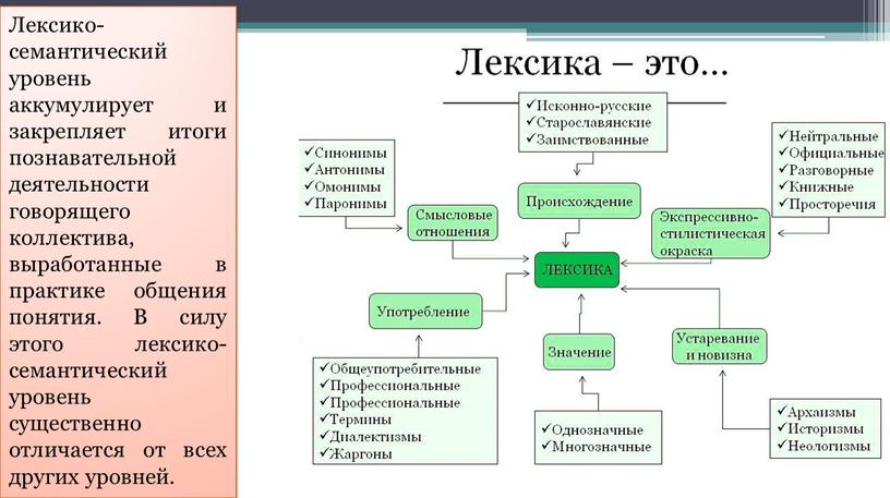 Лексико-семантический уровень аккумулирует и закрепляет итоги познавательной деятельности говорящего коллектива, выработанные в практике общения понятия