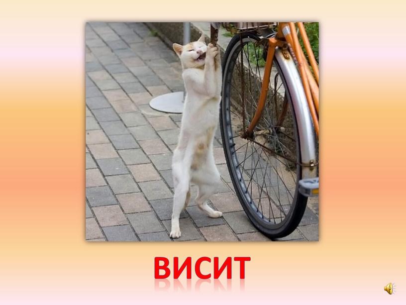 висит