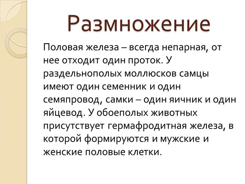 Размножение Половая железа – всегда непарная, от нее отходит один проток