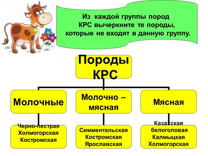 Из каждой группы пород КРС вычеркните те породы, которые не входят в данную группу