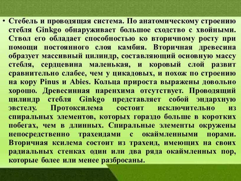 Стебель и проводящая система. По анатомическому строению стебля