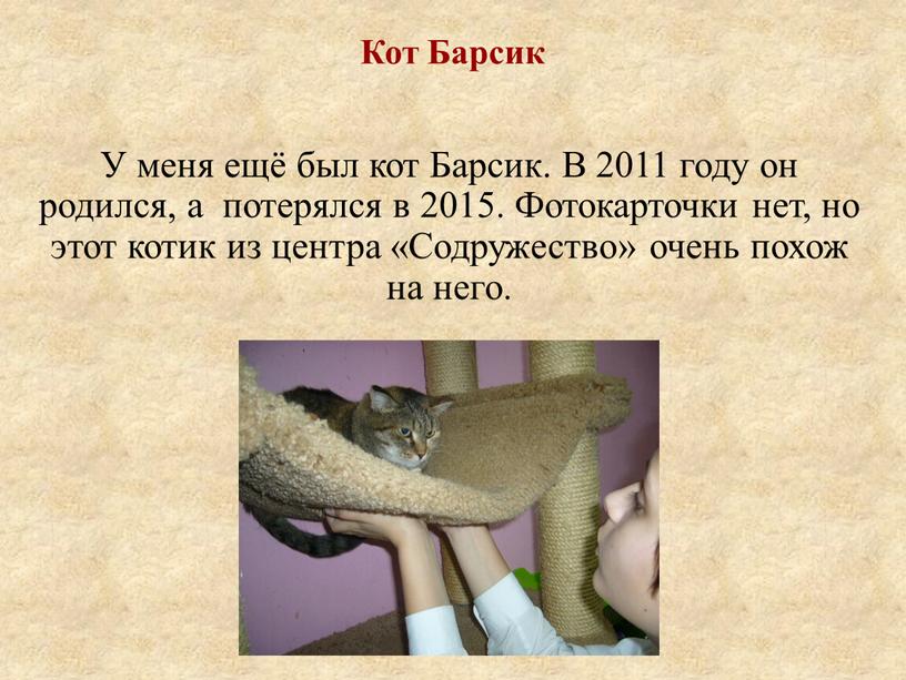 Кот Барсик У меня ещё был кот Барсик