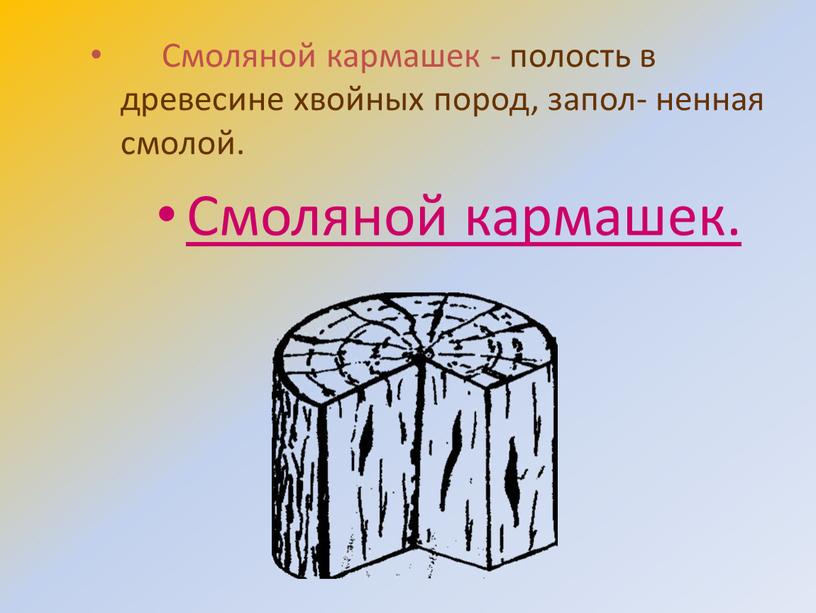 Смоляной кармашек - полость в древесине хвойных пород, запол- ненная смолой