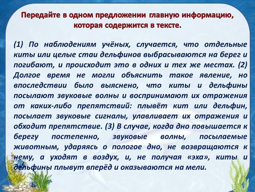 Передайте в одном предложении главную информацию, которая содержится в тексте