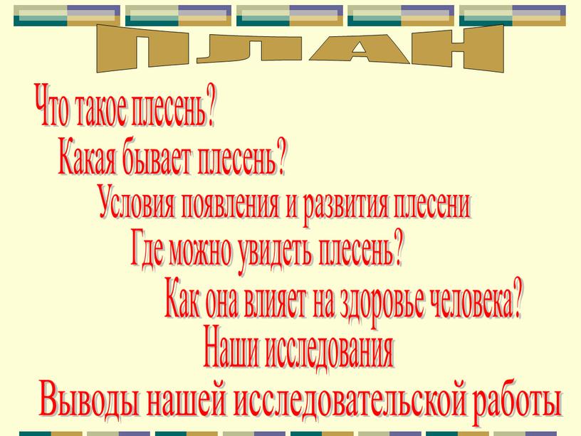 ПЛАН Что такое плесень? Какая бывает плесень?