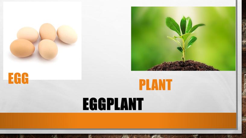 EGG PLANT EGGPLANT