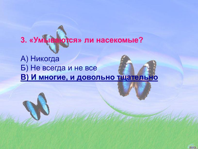 Умываются» ли насекомые? А) Никогда