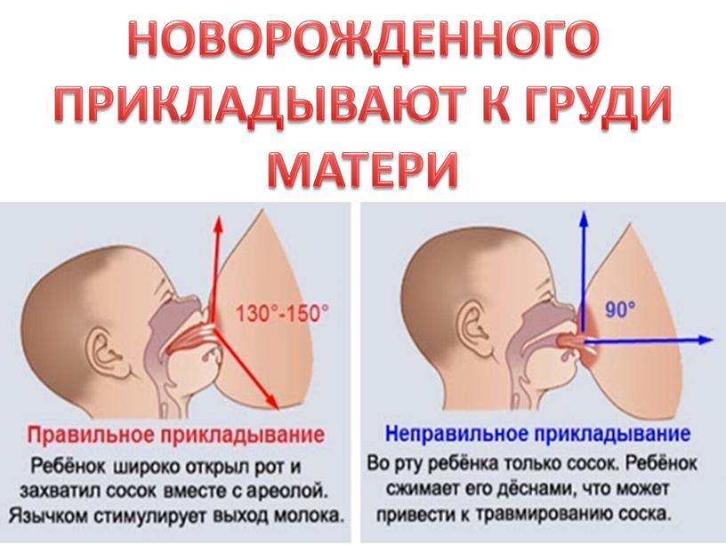 НОВОРОЖДЕННОГО ПРИКЛАДЫВАЮТ К ГРУДИ