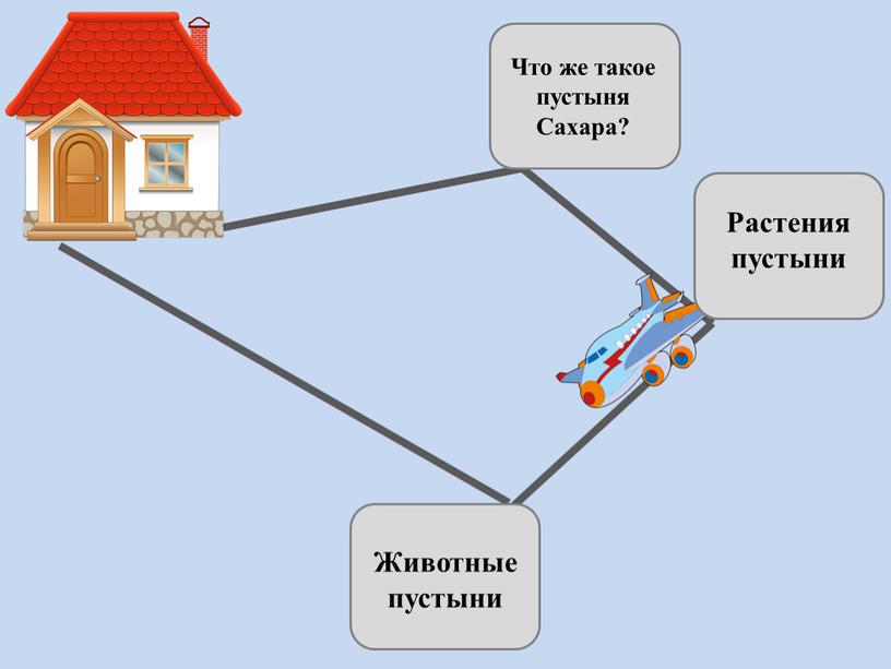 Что же такое пустыня Сахара? Растения пустыни