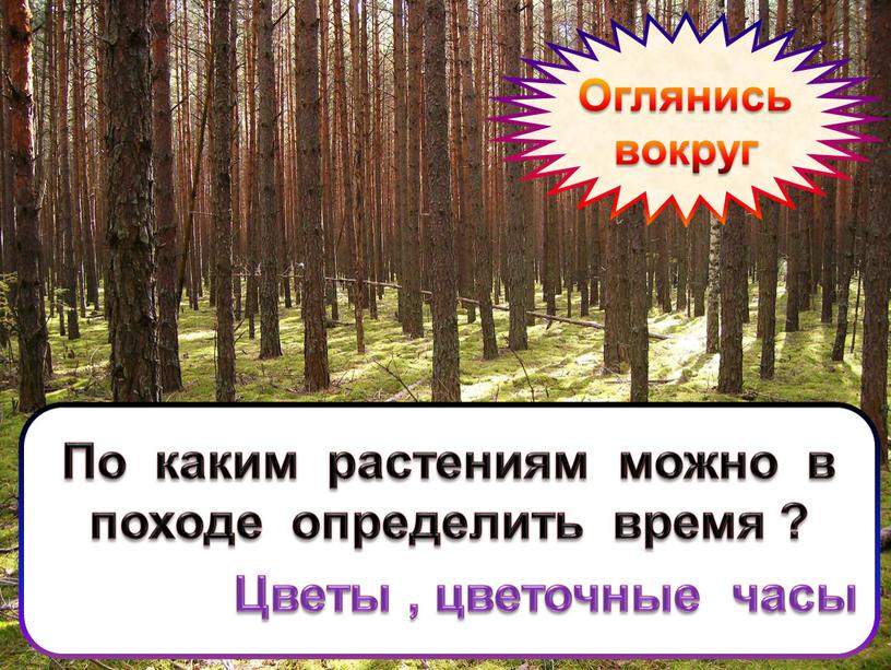 Оглянись вокруг По каким растениям можно в походе определить время ?