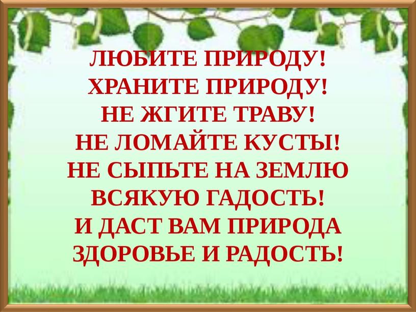 Презентация по экологии "Планета не должна болеть!" (2 класс, окружающий мир)