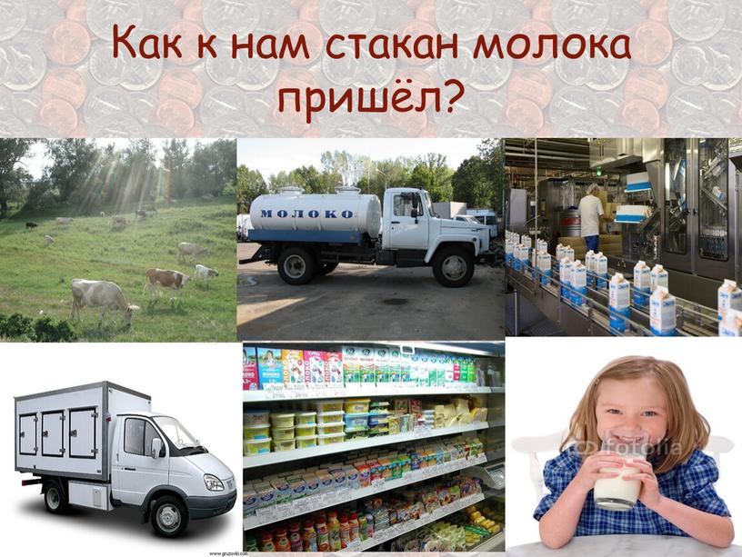 Как к нам стакан молока пришёл?