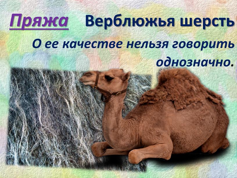 Пряжа Верблюжья шерсть