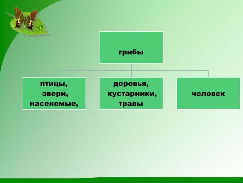 Презентация к открытому уроку окружающего мира "Царство грибов"