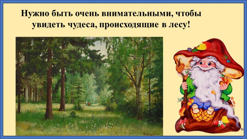 Нужно быть очень внимательными, чтобы увидеть чудеса, происходящие в лесу!