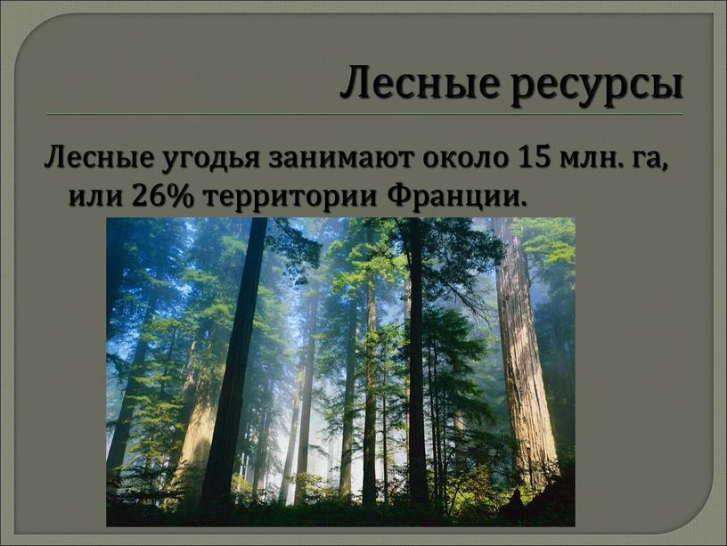 Лесные ресурсы Лесные угодья занимают около 15 млн