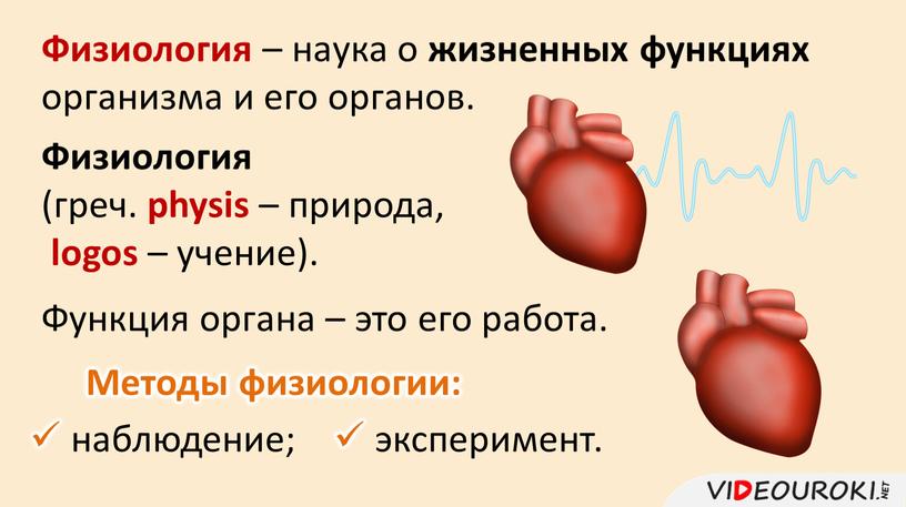 Физиология – наука о жизненных функциях организма и его органов