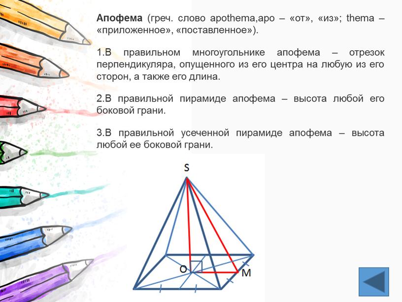 Апофема (греч. слово apothema,apo – «от», «из»; thema – «приложенное», «поставленное»)